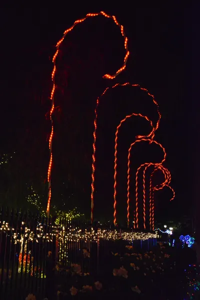 DSC_5779 (Large).JPG